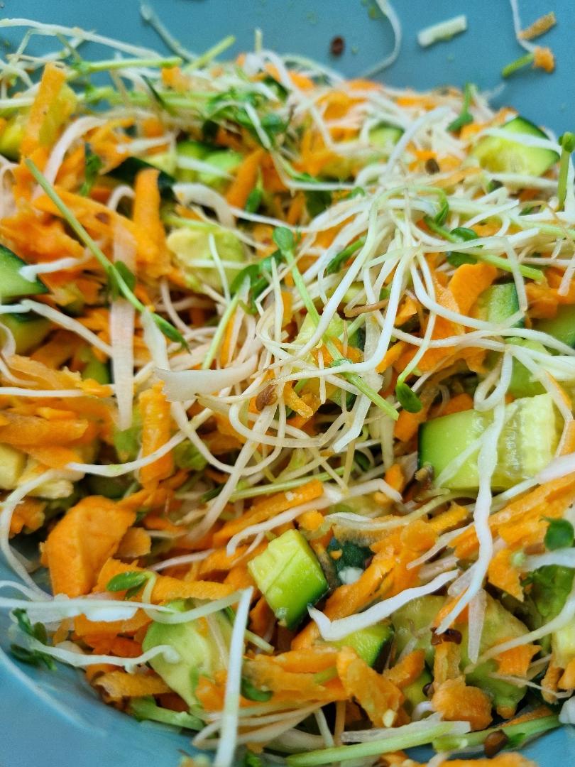 fresh summer salad with sprouts